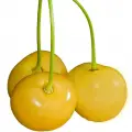 گیلاس سفید