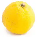 یوزو