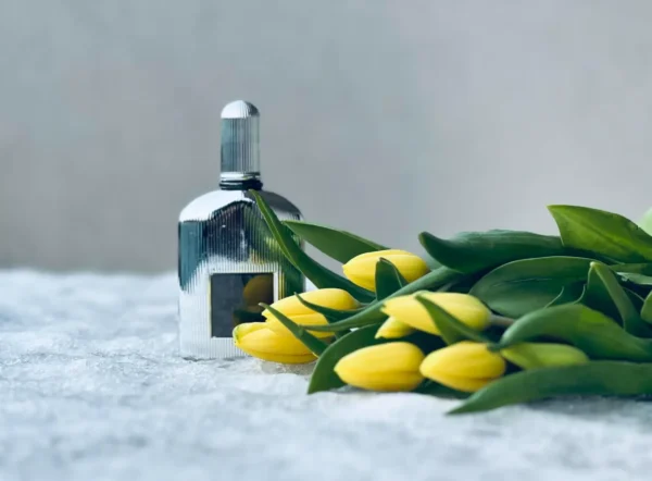 عطر ادکلن تام فورد گری وتیور پارفوم | Tom Ford Grey Vetiver Parfum