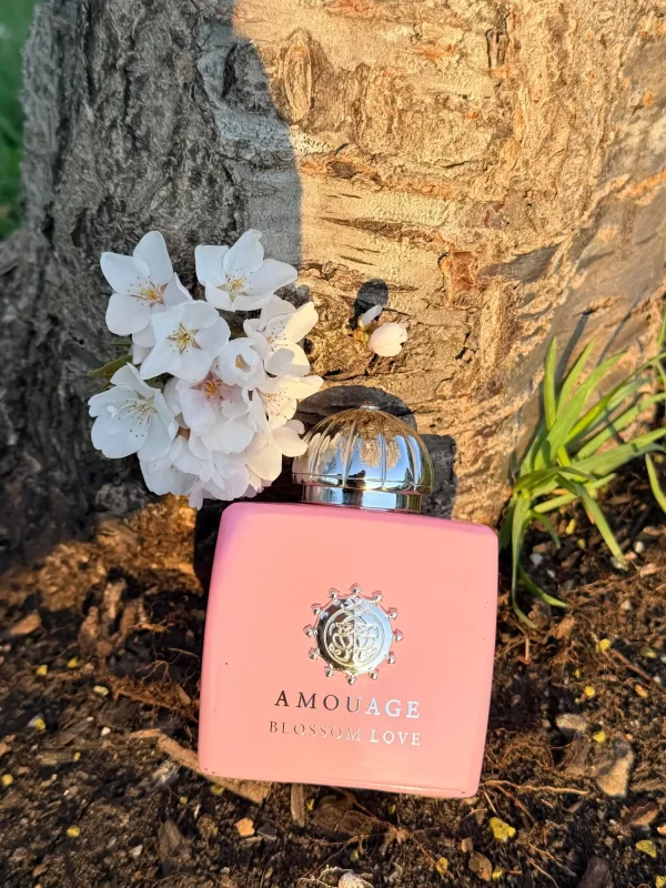 عطر ادکلن آمواج بلوسوم لاو | Amouage Blossom Love