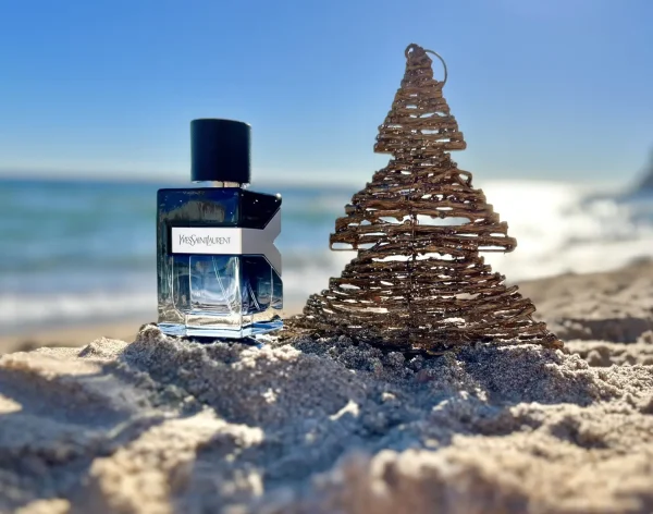 عطر ادکلن ایو سن لورن وای ادو پرفیوم | Yves Saint Laurent Y Eau de Parfum