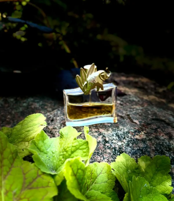 عطر ادکلن کنزو جانگل زنانه ادوپرفیوم | Kenzo Kenzo Jungle L’Elephant