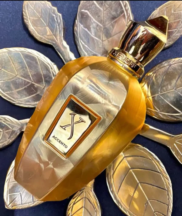 عطر ادکلن زرجوف اکسنتو اوردوز | Xerjoff Accento Overdose
