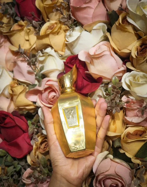 عطر ادکلن زرجوف اکسنتو اوردوز | Xerjoff Accento Overdose