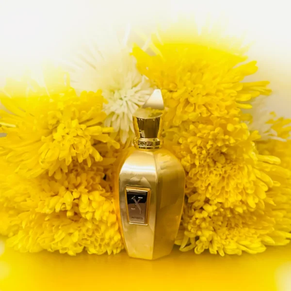 عطر ادکلن زرجوف اکسنتو اوردوز | Xerjoff Accento Overdose