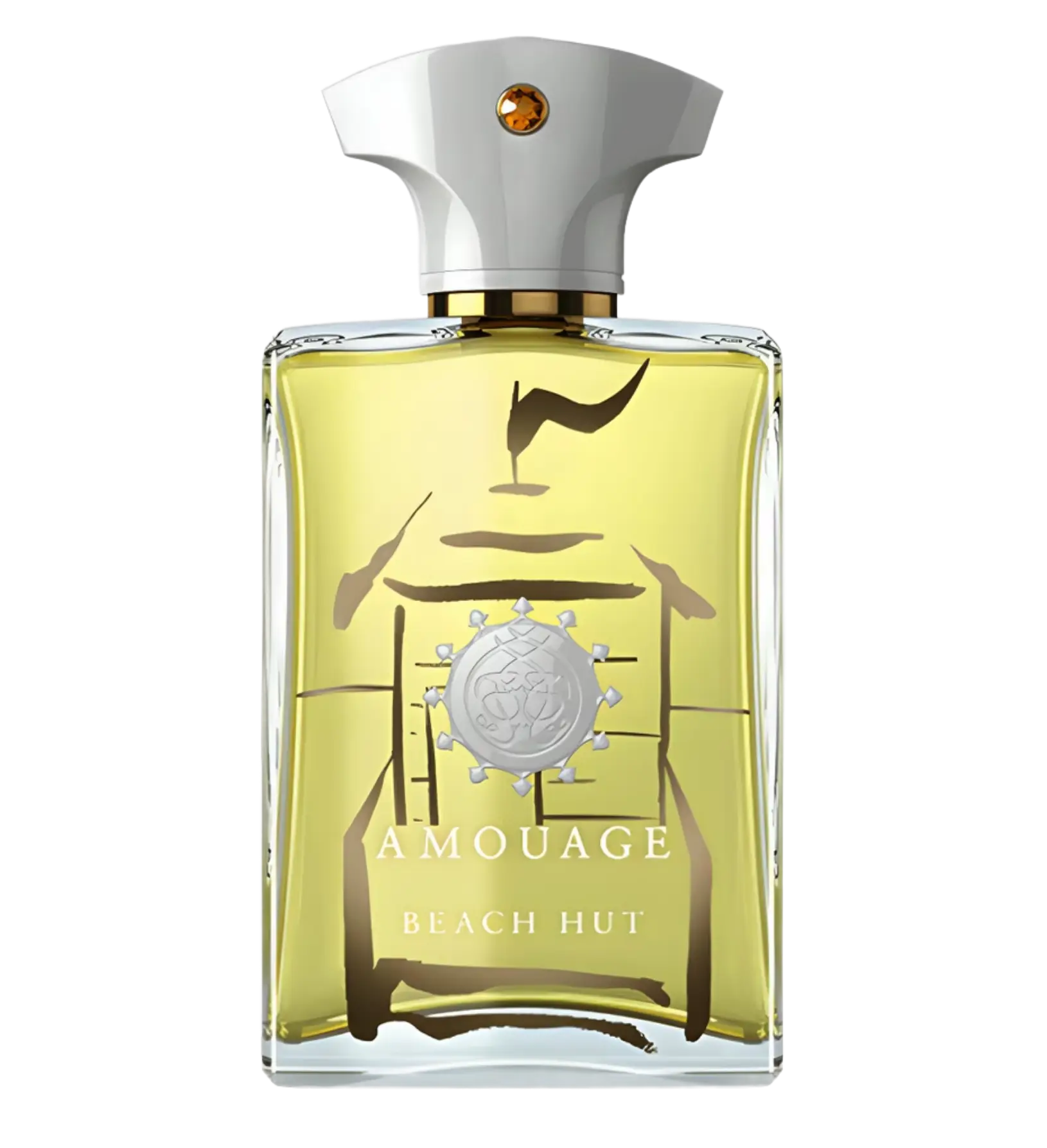 عطر ادکلن آمواج بیچ هات مردانه | Amouage Beach Hut Man