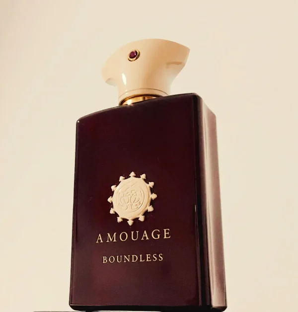 عطر ادکلن آمواج باندلس مردانه | Amouage Boundless
