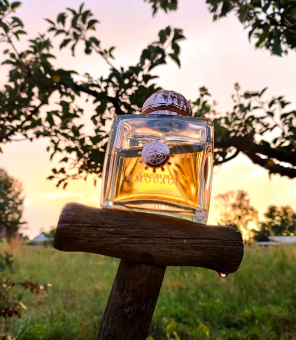 عطر ادکلن آمواج دیا زنانه | Amouage Dia Woman