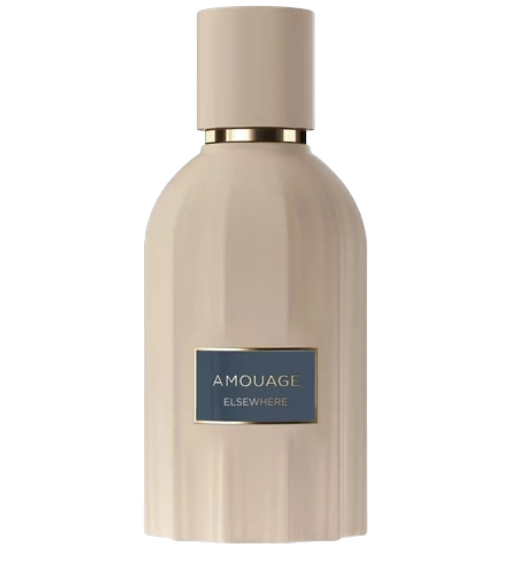 عطر ادکلن آمواج السور | Amouage Elsewhere