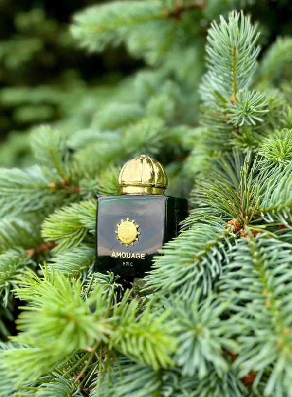 عطر ادکلن آمواج گیفت ست عطر آمواج اپیک زنانه | Amouage Epic Woman