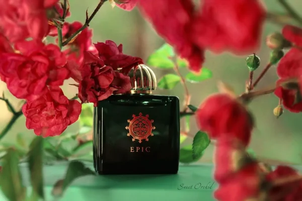 عطر ادکلن آمواج اپیک زنانه | Amouage Epic Woman