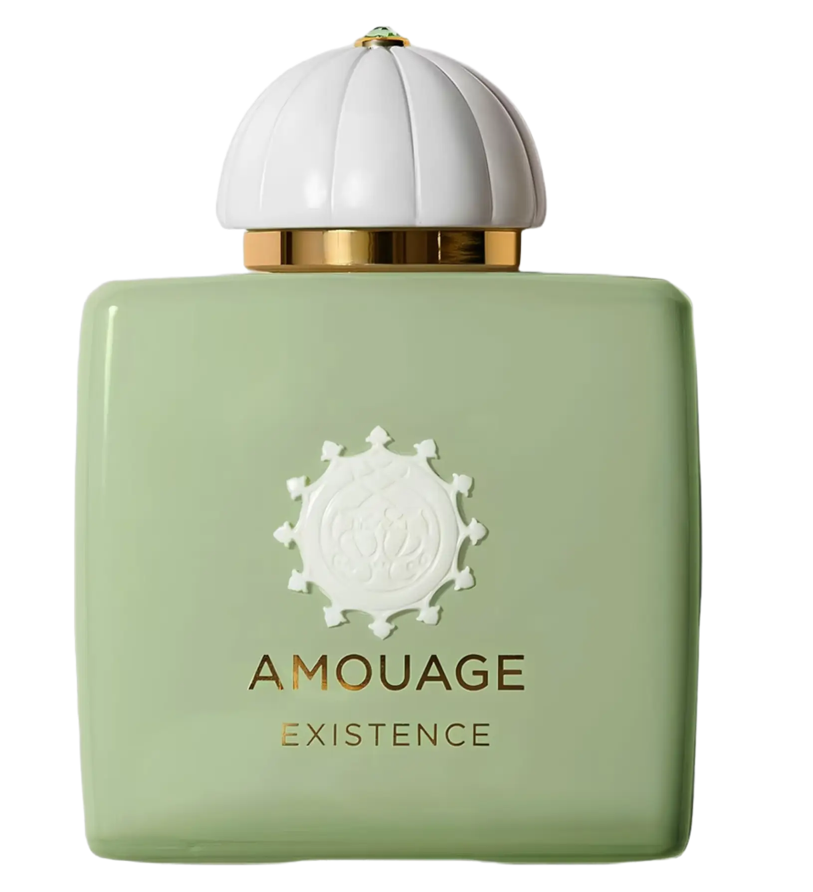 عطر ادکلن آمواج اگزیستنس زنانه | Amouage Existence