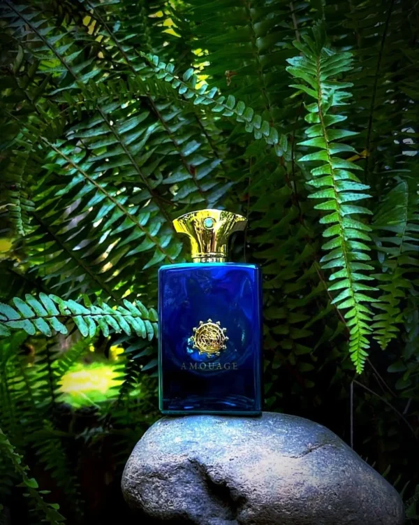 عطر ادکلن آمواج فیگمنت مردانه | Amouage Figment Man