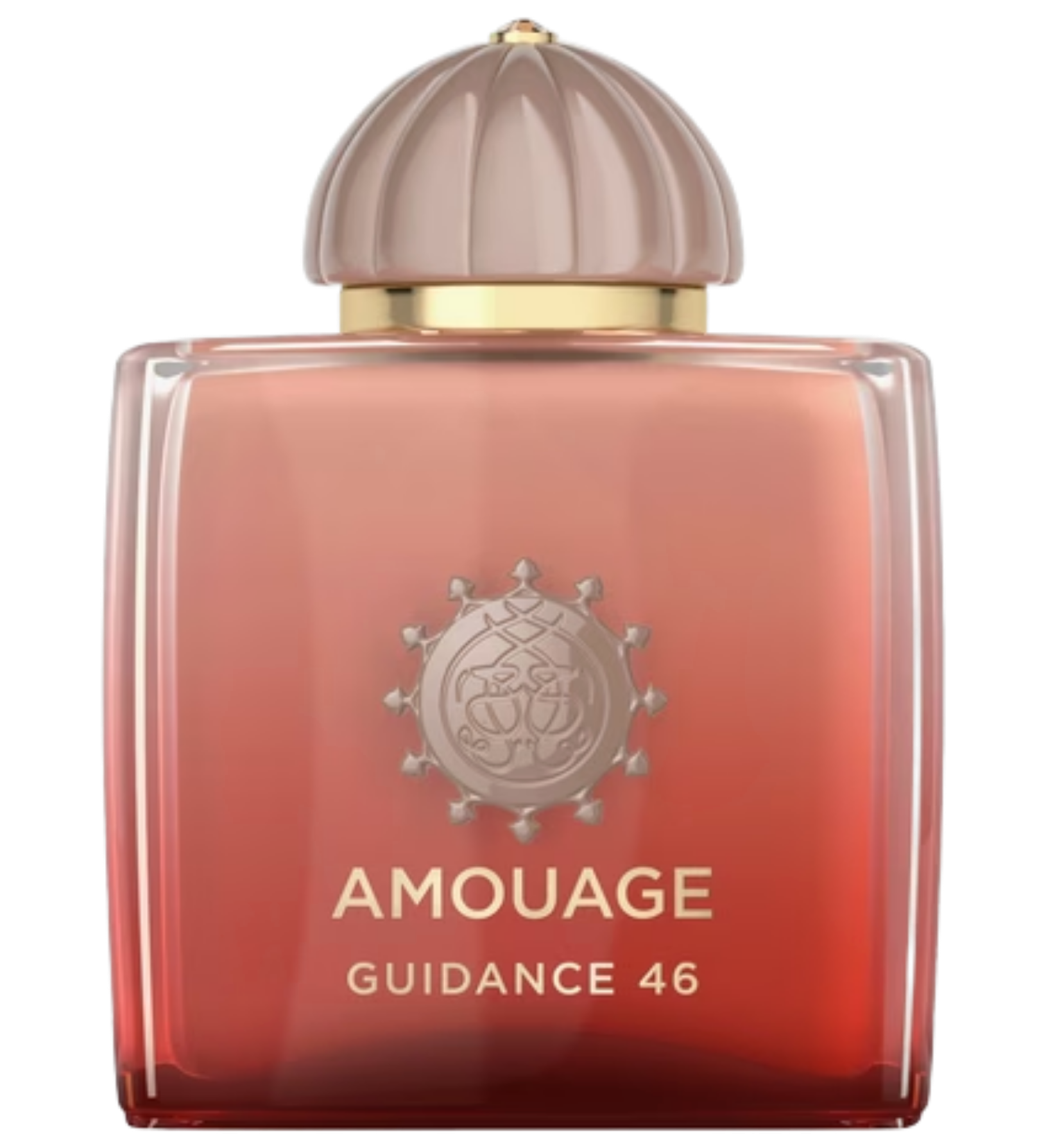 عطر ادکلن آمواج گایدنس 46 | Amouage Guidance 46
