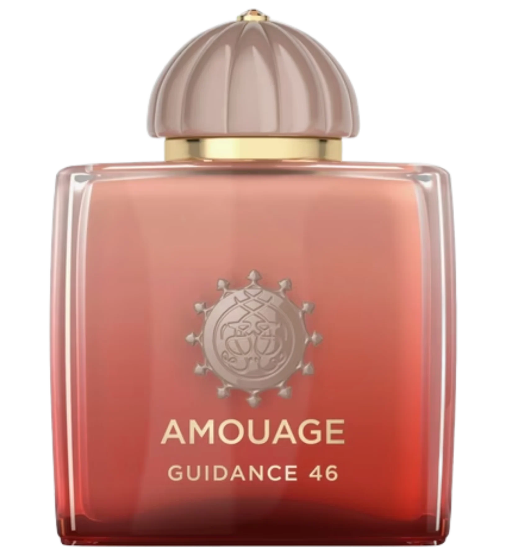 عطر ادکلن آمواج گایدنس 46 | Amouage Guidance 46