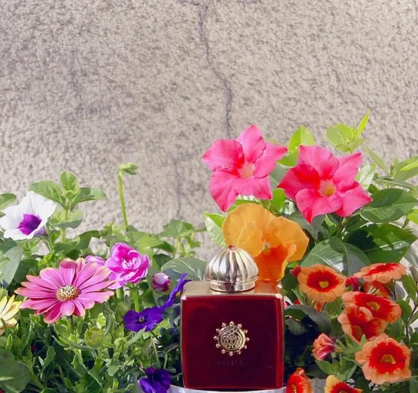 عطر ادکلن آمواج جرنی زنانه | Amouage Journey Woman
