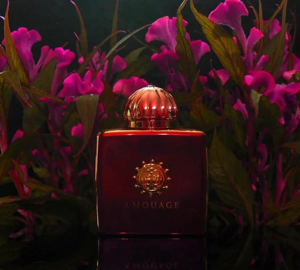 عطر ادکلن آمواج جرنی زنانه | Amouage Journey Woman