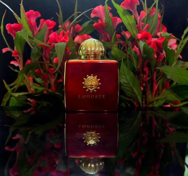 عطر ادکلن آمواج جرنی زنانه | Amouage Journey Woman