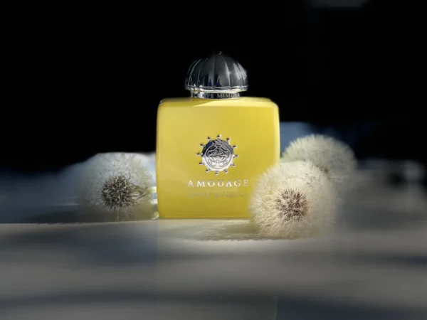 عطر ادکلن آمواج لاو میموسا | Amouage Love Mimosa
