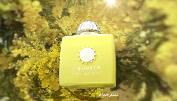 عطر ادکلن آمواج لاو میموسا | Amouage Love Mimosa