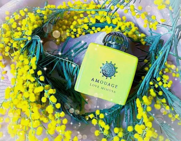 عطر ادکلن آمواج لاو میموسا | Amouage Love Mimosa