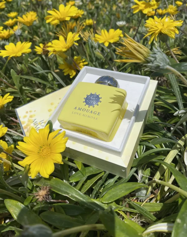 عطر ادکلن آمواج لاو میموسا | Amouage Love Mimosa
