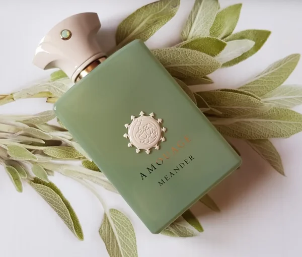 عطر ادکلن آمواج میندر | Amouage Meander