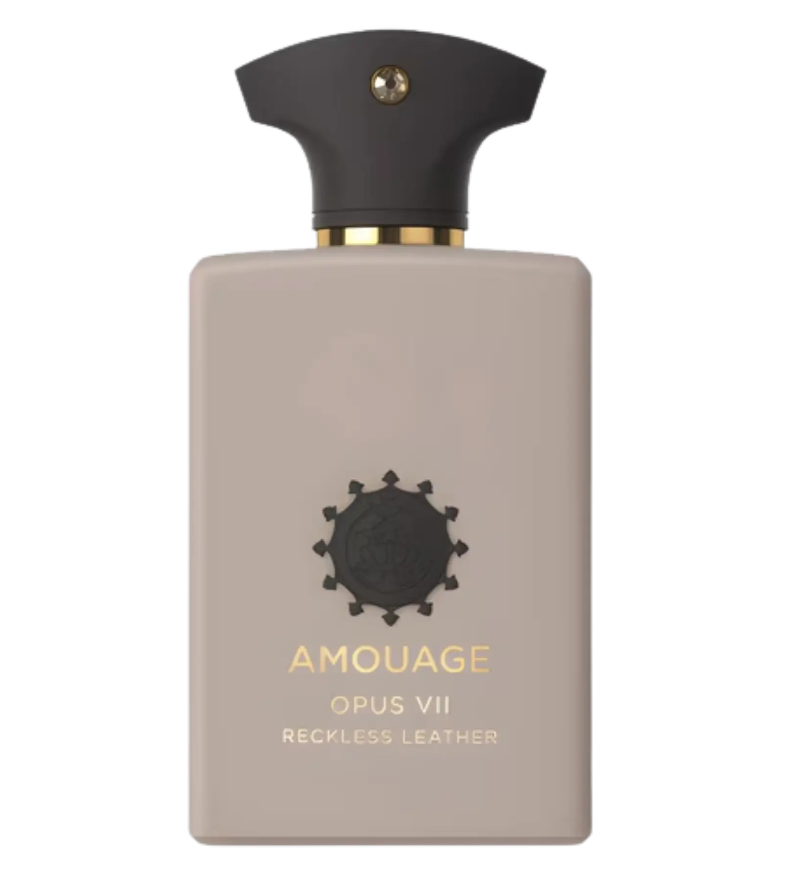 عطر ادکلن آمواج اوپوس هفت رکلس لدر | Amouage Opus VII Reckless Leather