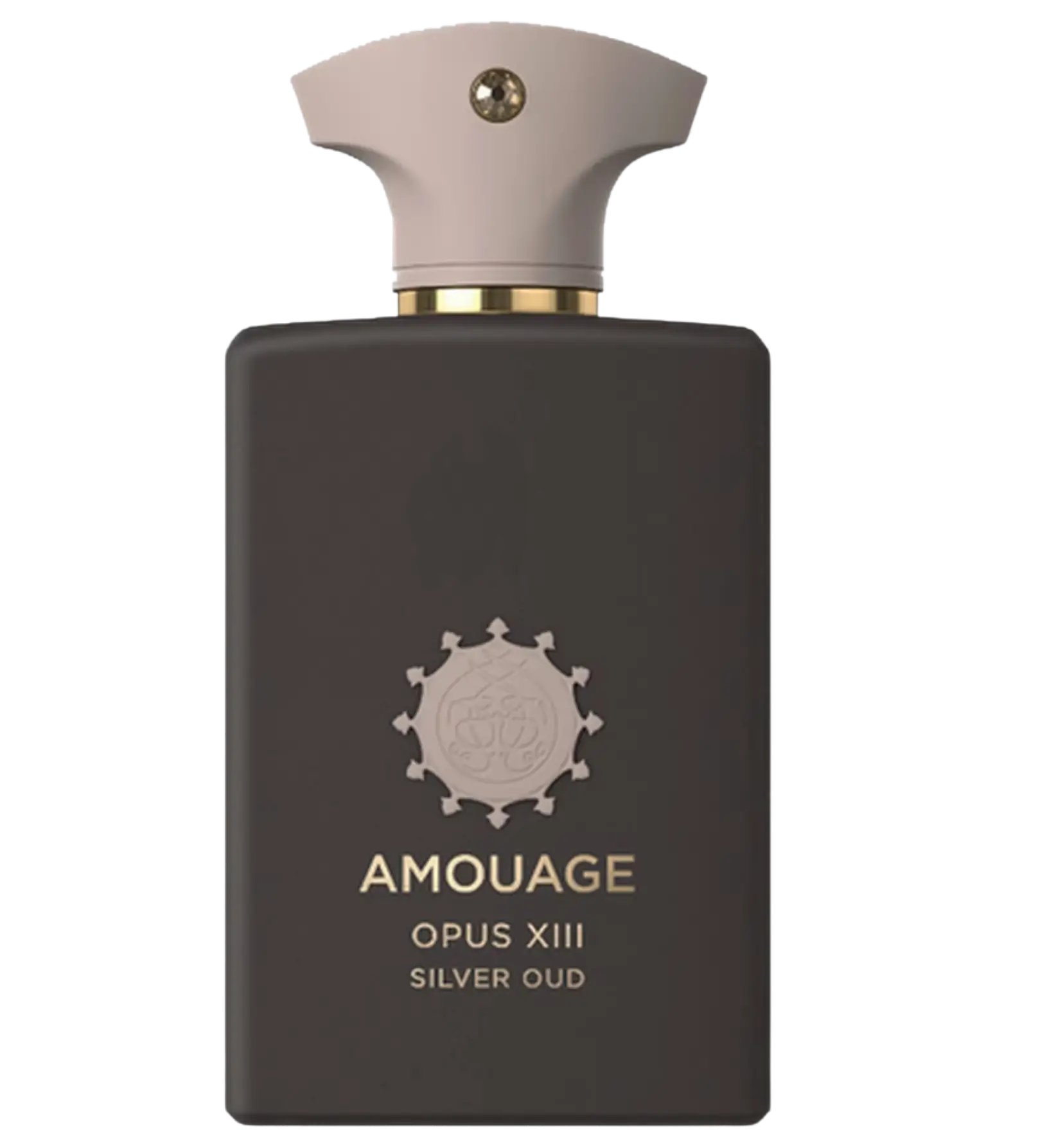 عطر ادکلن آمواج اوپوس سیزده سیلور عود | Amouage Opus XIII Silver Oud