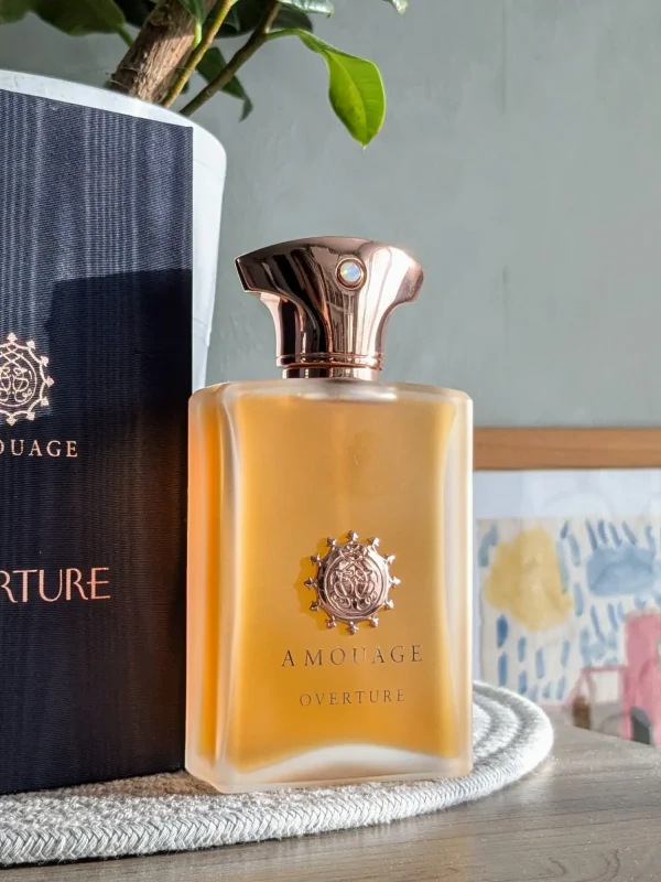 عطر ادکلن آمواج اورتور مردانه | Amouage Overture Man