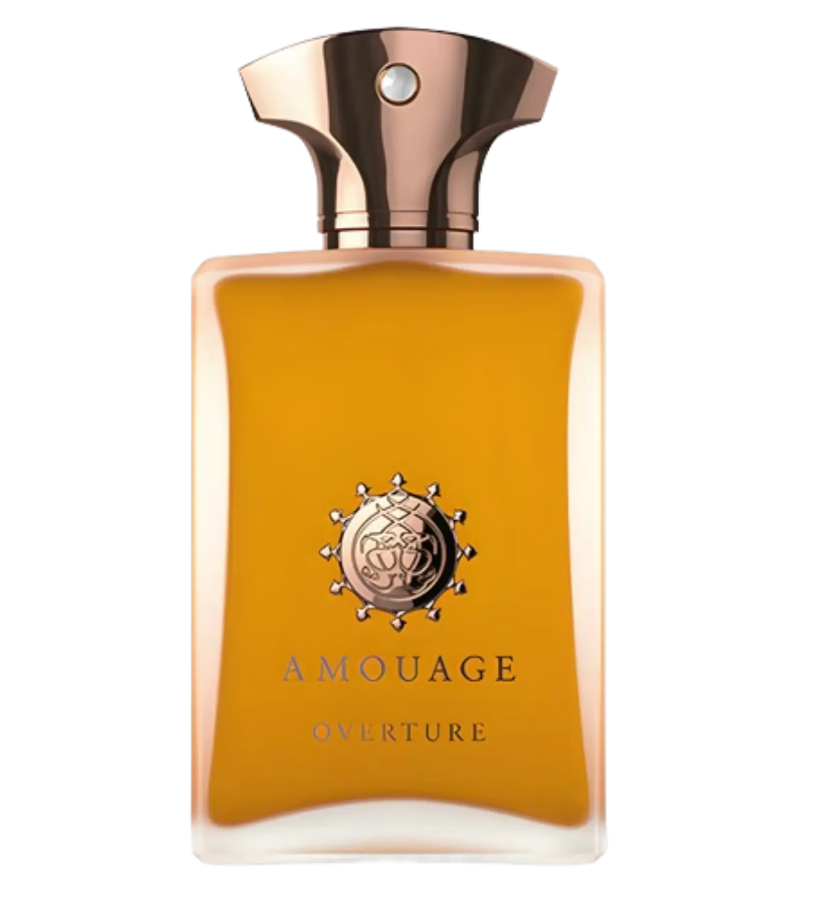 عطر ادکلن آمواج اورتور مردانه | Amouage Overture Man