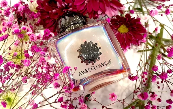 عطر ادکلن آمواج پورترایال زنانه | Amouage Portrayal Woman