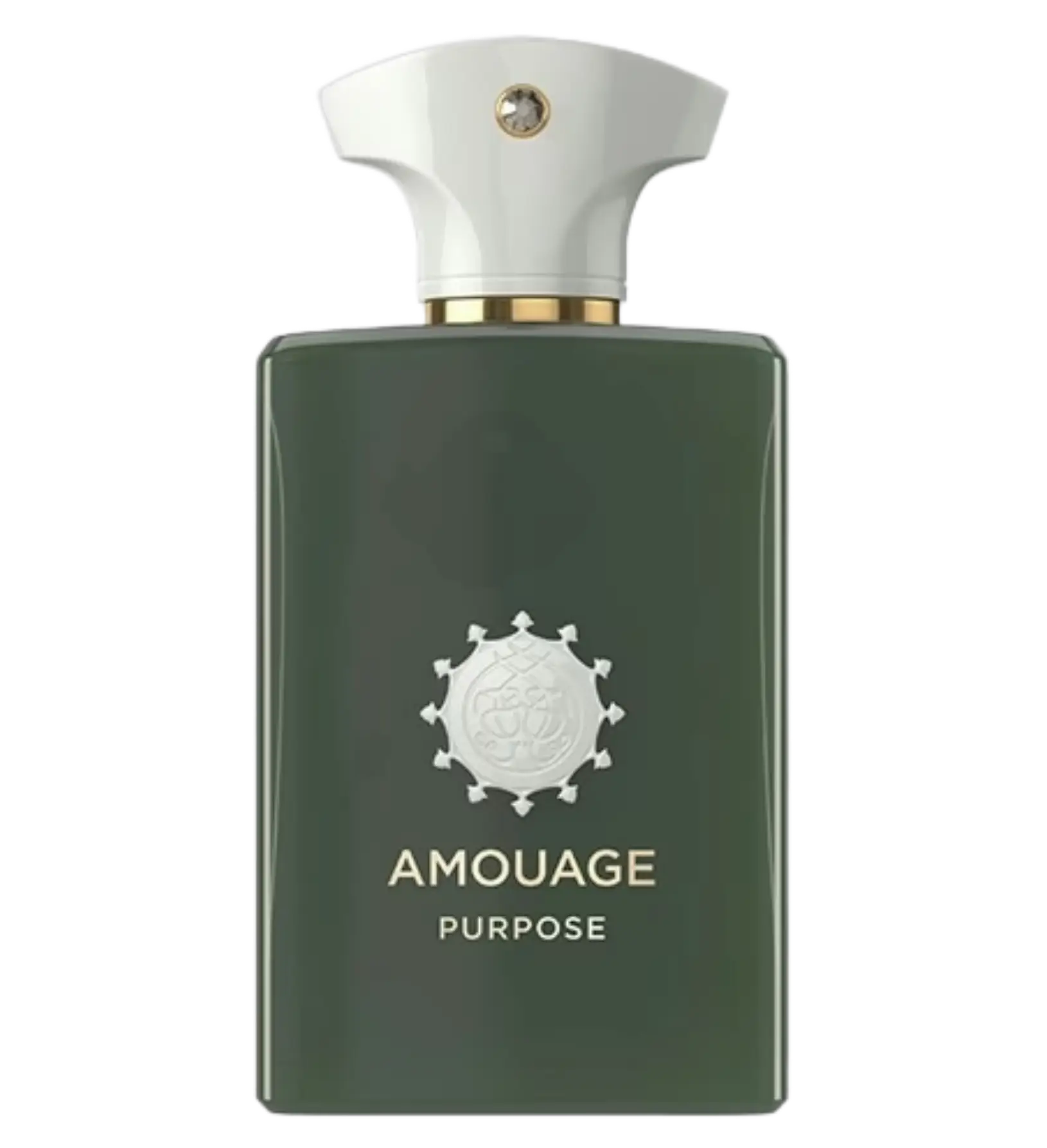 عطر ادکلن آمواج پرپس | Amouage Purpose