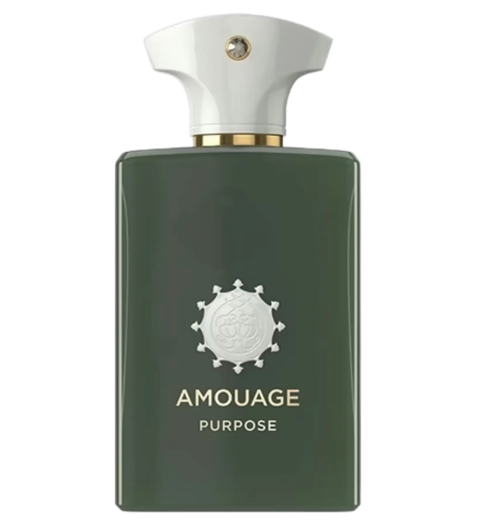 عطر ادکلن آمواج پرپوس | Amouage Purpose