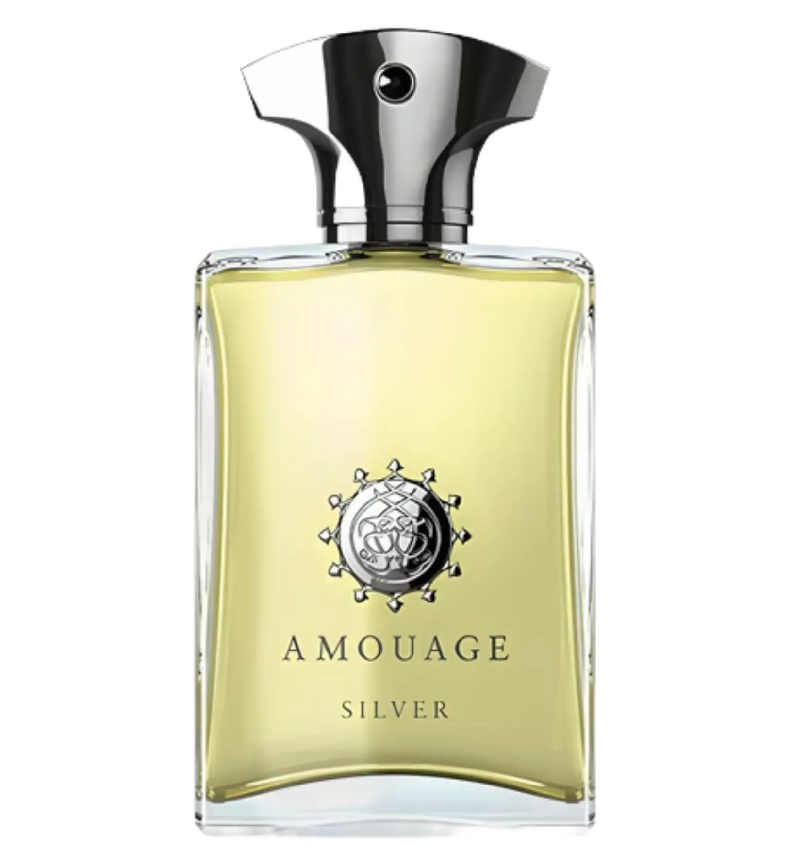 عطر ادکلن آمواج سیلور | Amouage Silver
