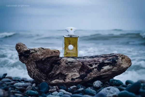 عطر ادکلن آمواج سان شاین مردانه | Amouage Sunshine Man