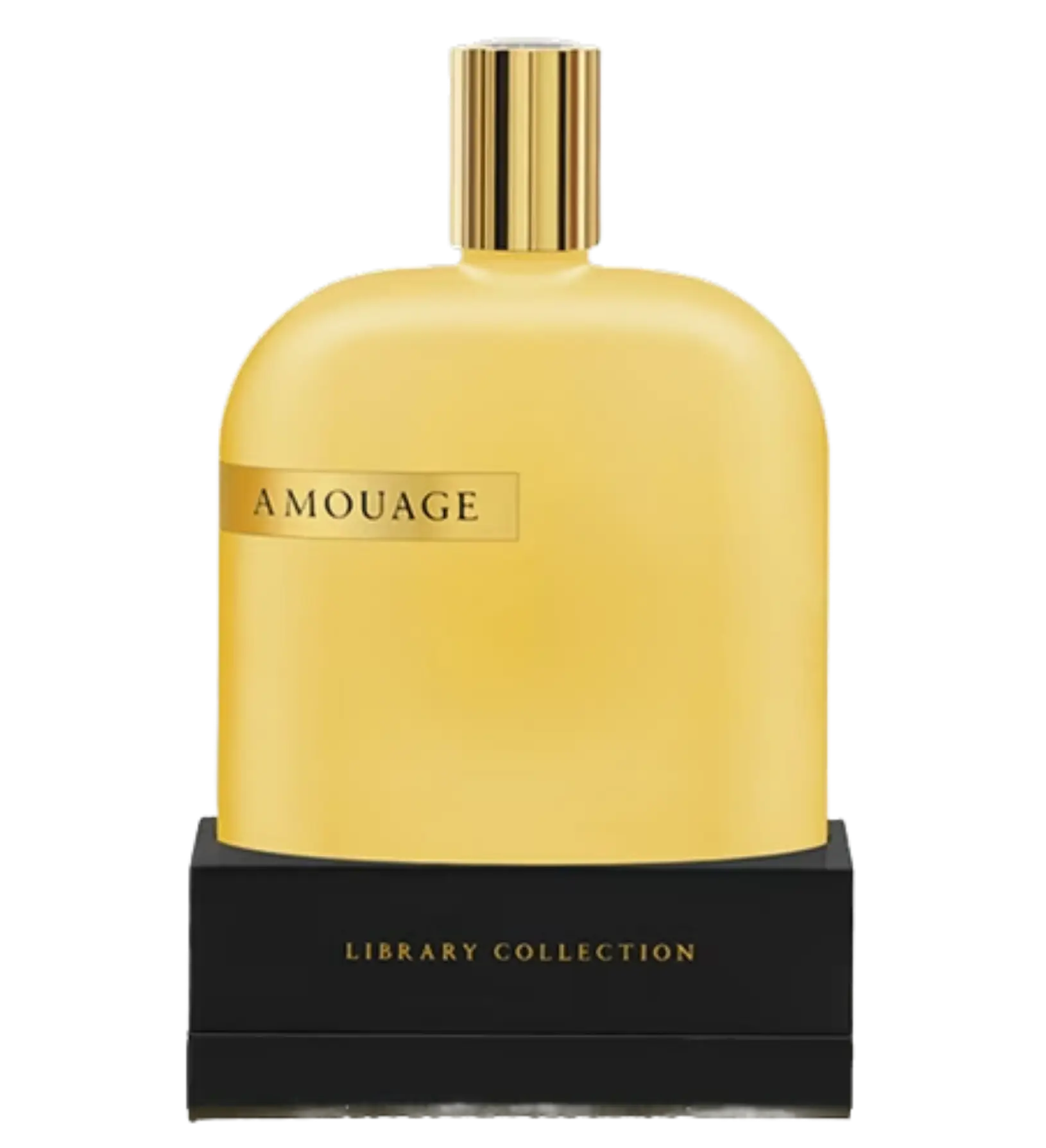 عطر ادکلن آمواج اوپوس یک ۵۰ میل | Amouage The Library Collection Opus I