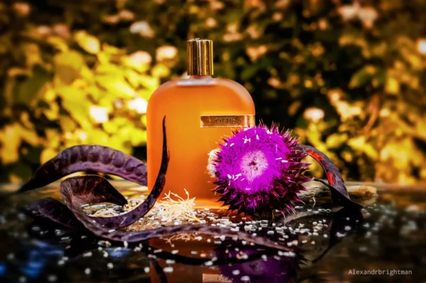 عطر ادکلن آمواج اوپوس یک ۵۰ میل | Amouage The Library Collection Opus I