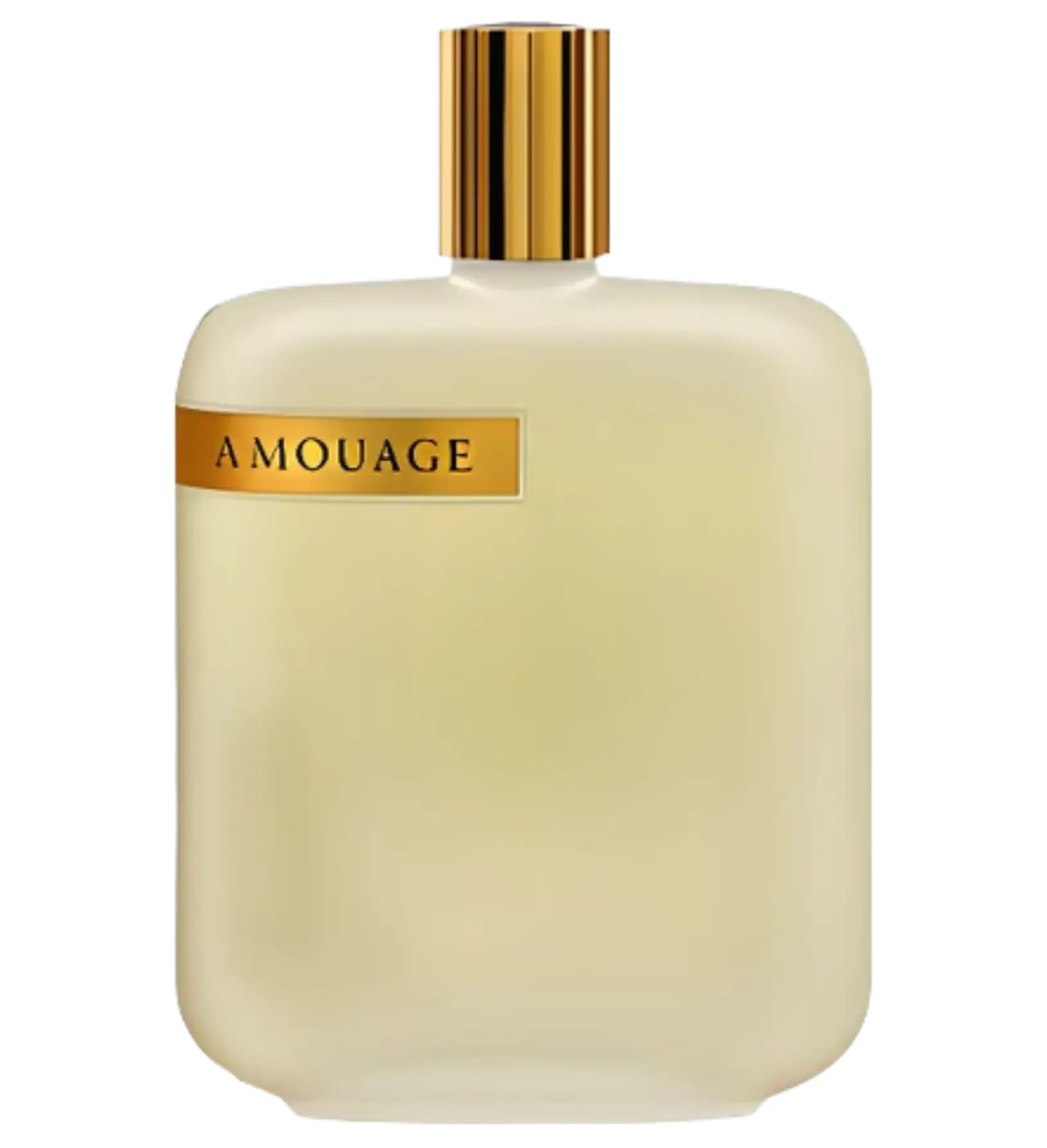 عطر ادکلن آمواج اوپوس دو | Amouage The Library Collection Opus II