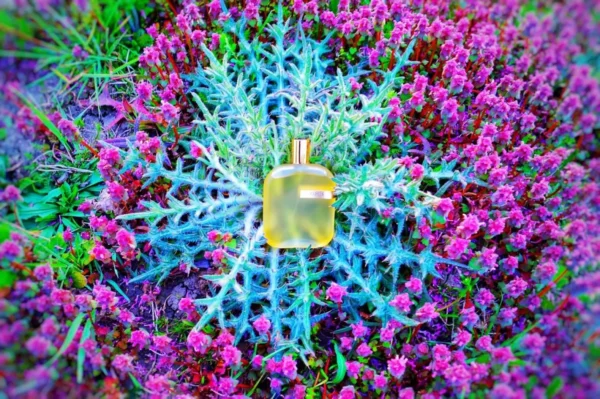 عطر ادکلن آمواج اوپوس سه | Amouage The Library Collection Opus III