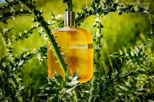 عطر ادکلن آمواج اوپوس سه | Amouage The Library Collection Opus III