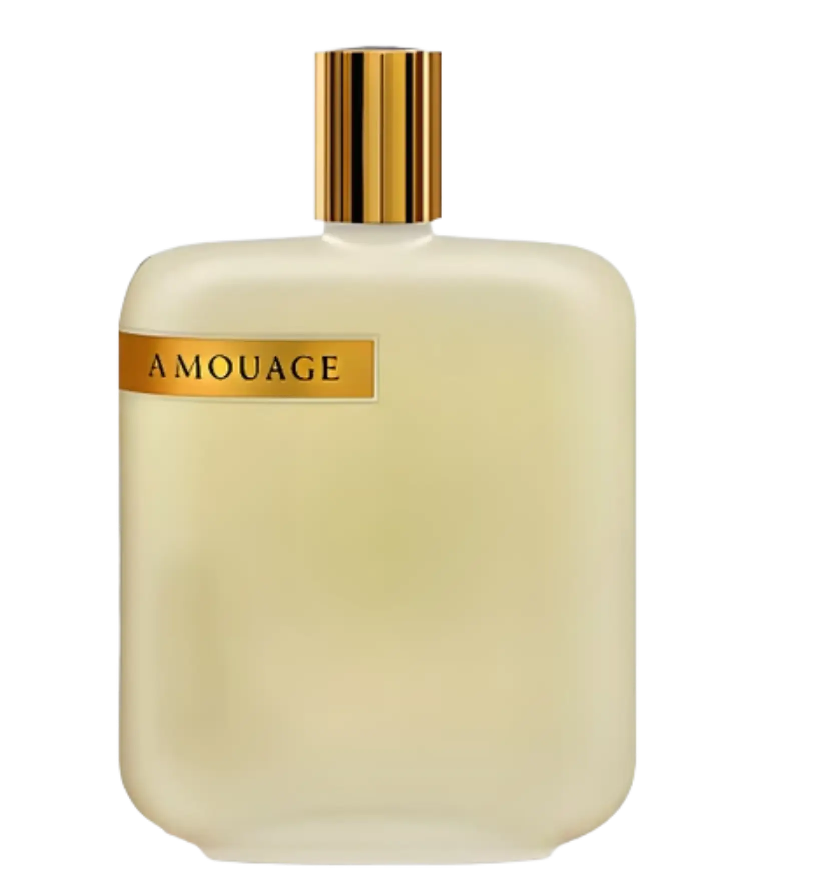 عطر ادکلن آمواج اوپوس سه | Amouage The Library Collection Opus III