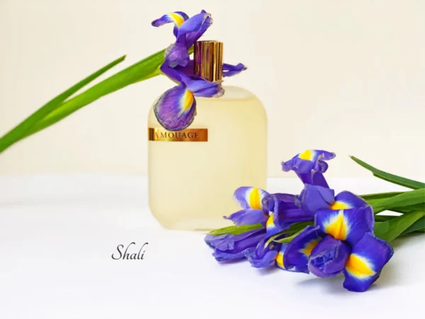 عطر ادکلن آمواج اوپوس پنج | Amouage The Library Collection Opus V