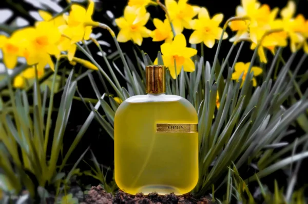 عطر ادکلن آمواج اوپوس شش | Amouage The Library Collection Opus VI