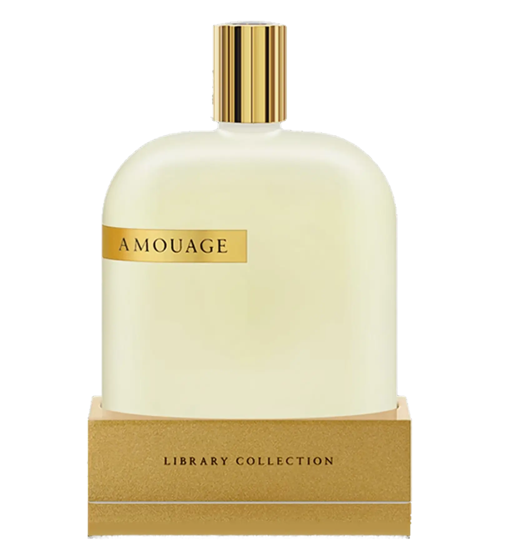 عطر ادکلن آمواج اوپوس شش | Amouage The Library Collection Opus VI