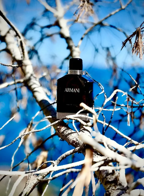 عطر ادکلن جورجیو آرمانی ادو نویت | Giorgio Armani Armani Eau de Nuit