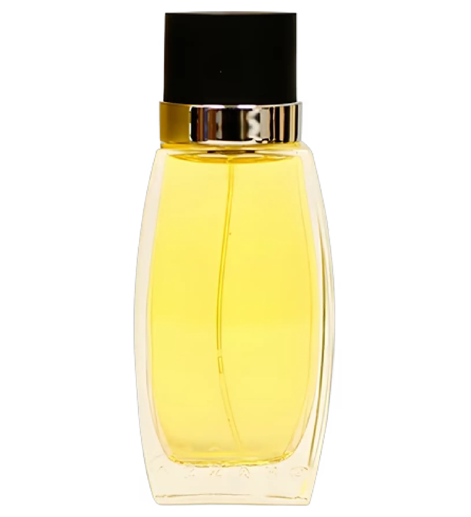عطر ادکلن آزارو پیور سدرات | Azzaro Pure Cedrat
