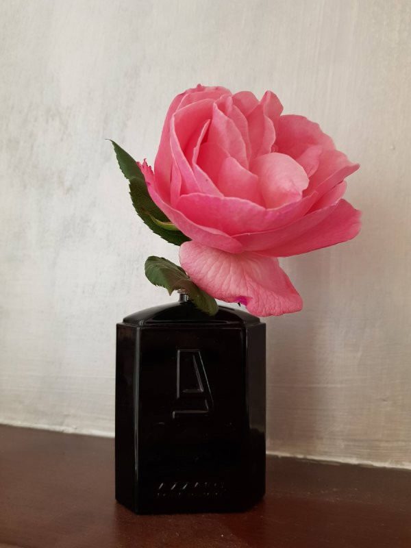 عطر ادکلن آزارو سیلور بلک | Azzaro Silver Black
