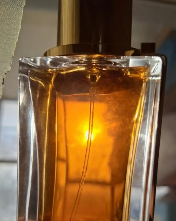 عطر ادکلن سالواتوره فراگامو اسپایسی لدر | Salvatore Ferragamo Ferragamo Spicy Leather