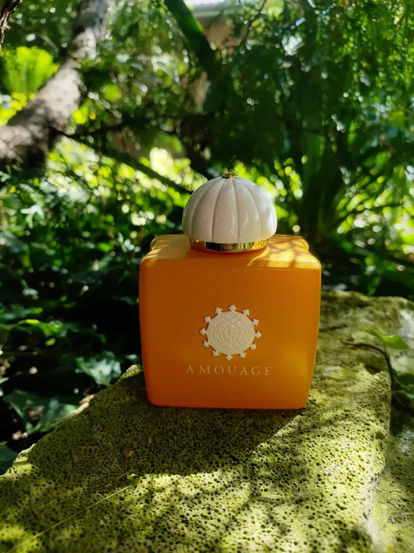 عطر ادکلن آمواج بیچ هات زنانه | Amouage Beach Hut Woman